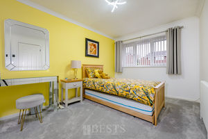 Paddock Rise Beechwood